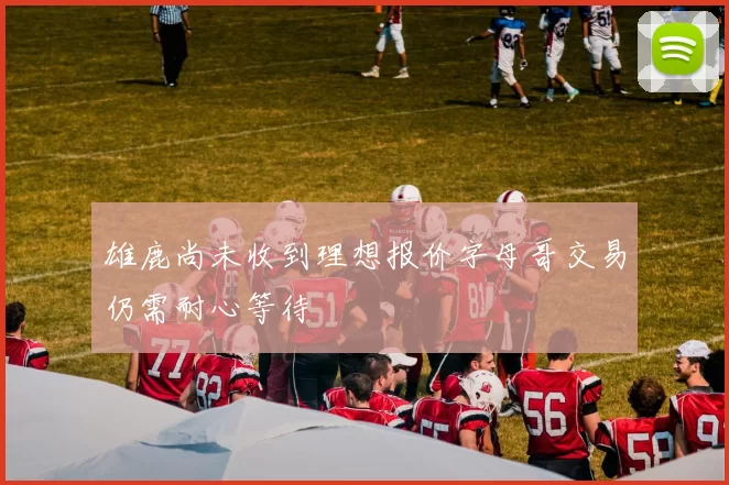 雄鹿尚未收到理想报价字母哥交易仍需耐心等待