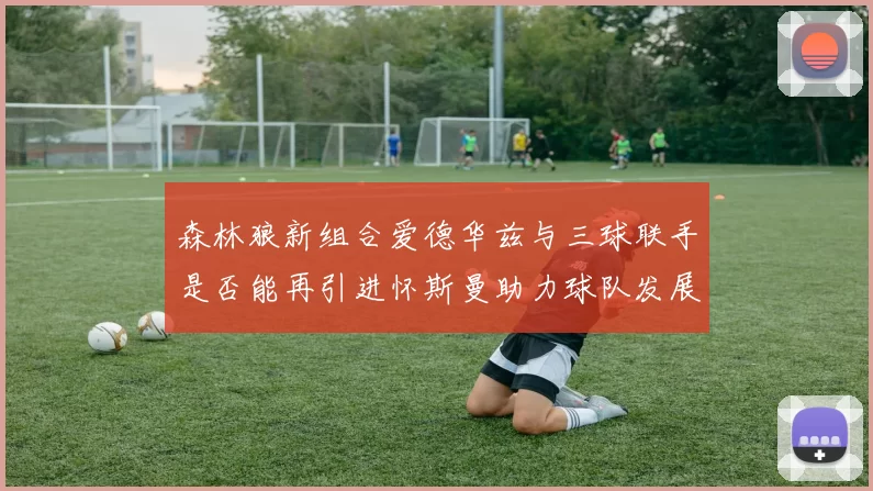 森林狼新组合爱德华兹与三球联手是否能再引进怀斯曼助力球队发展
